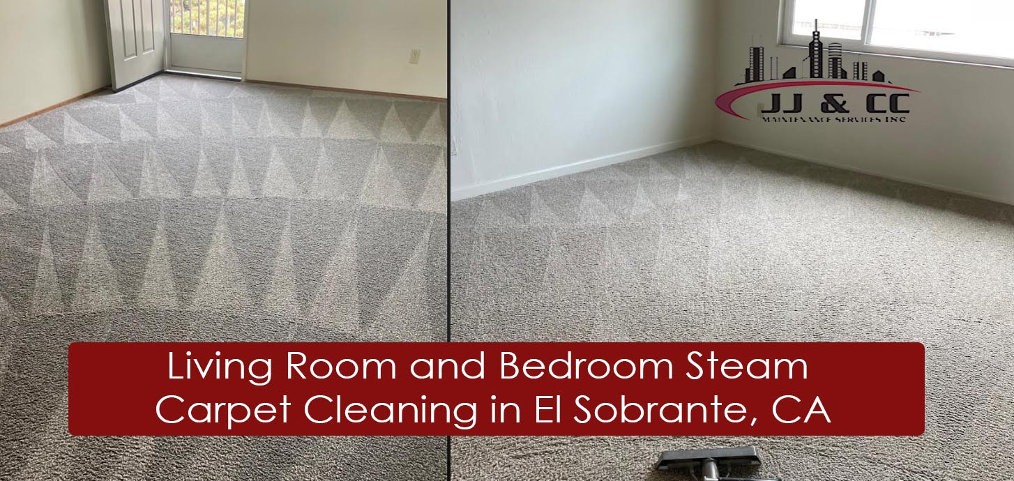 living room and bedroom staem carpet cleaning