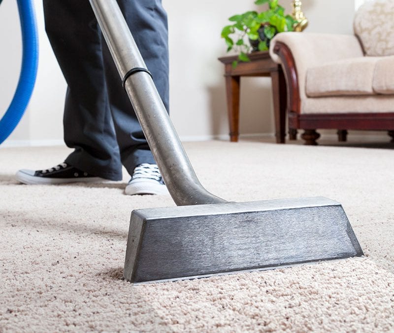 Carpet Cleaning service Danville